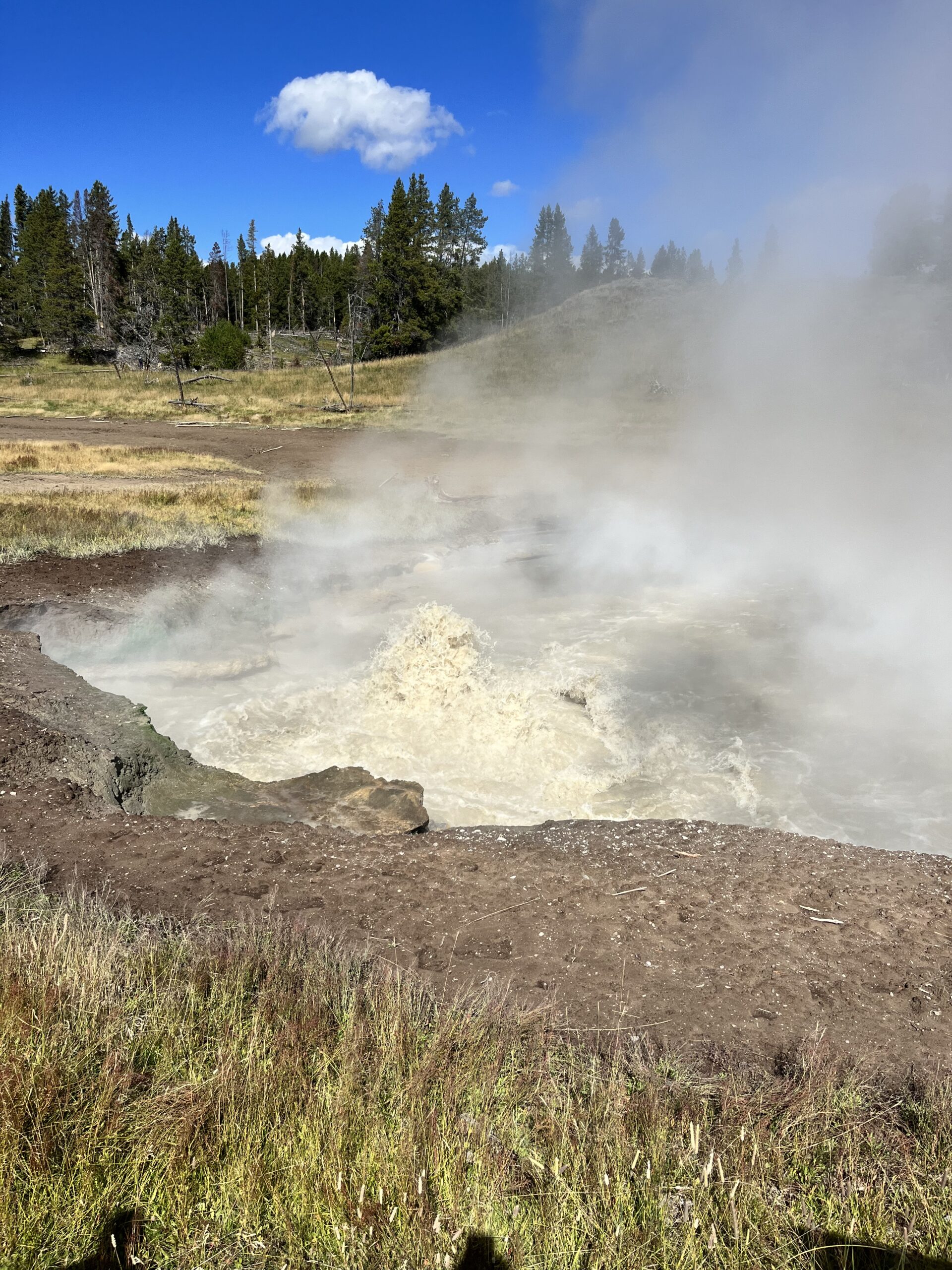 Sizzling Basin hot spring on the mud volcano trails at yellowstone national park