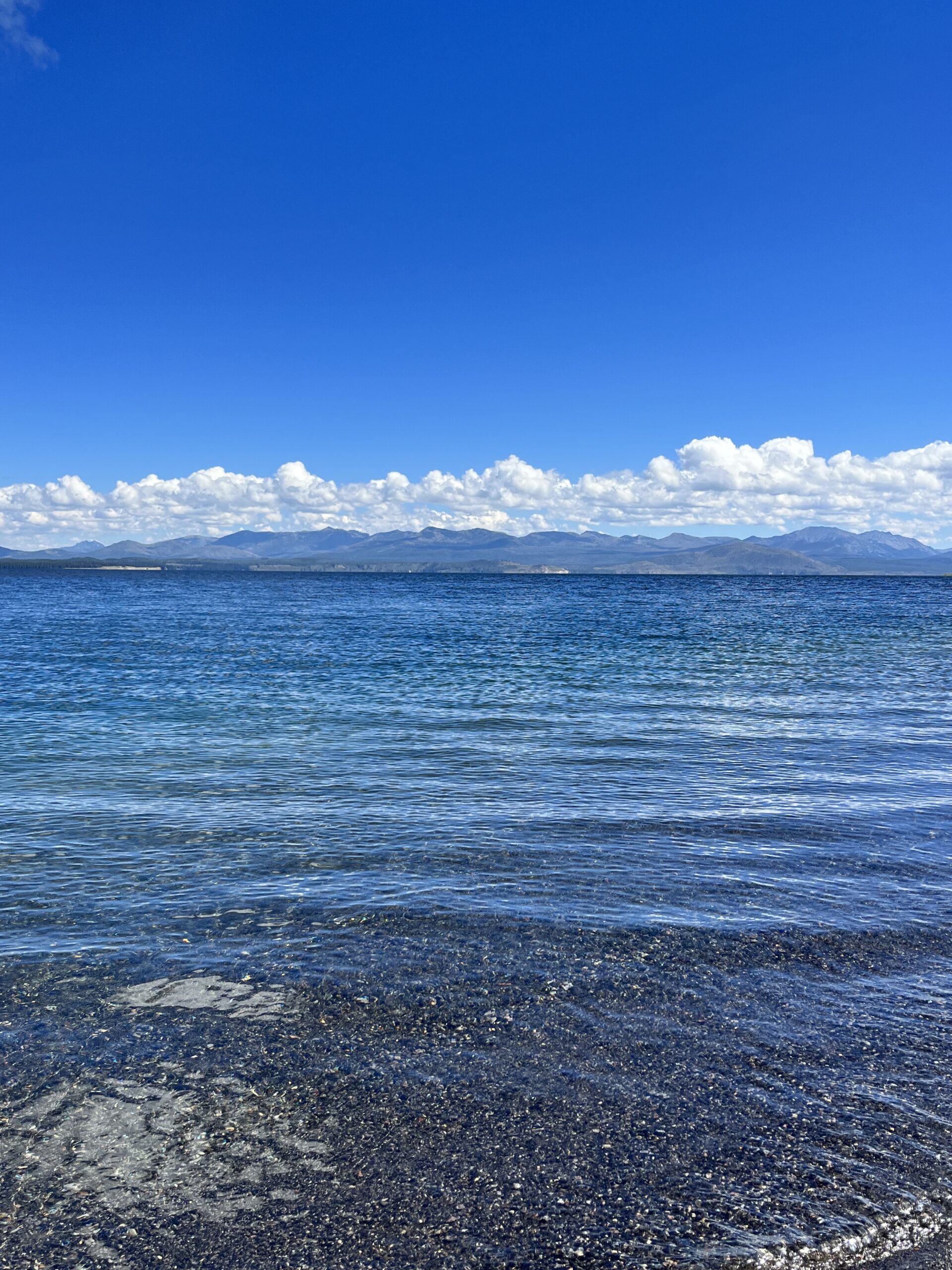 Lake yellowstone as viewed from gull point drive