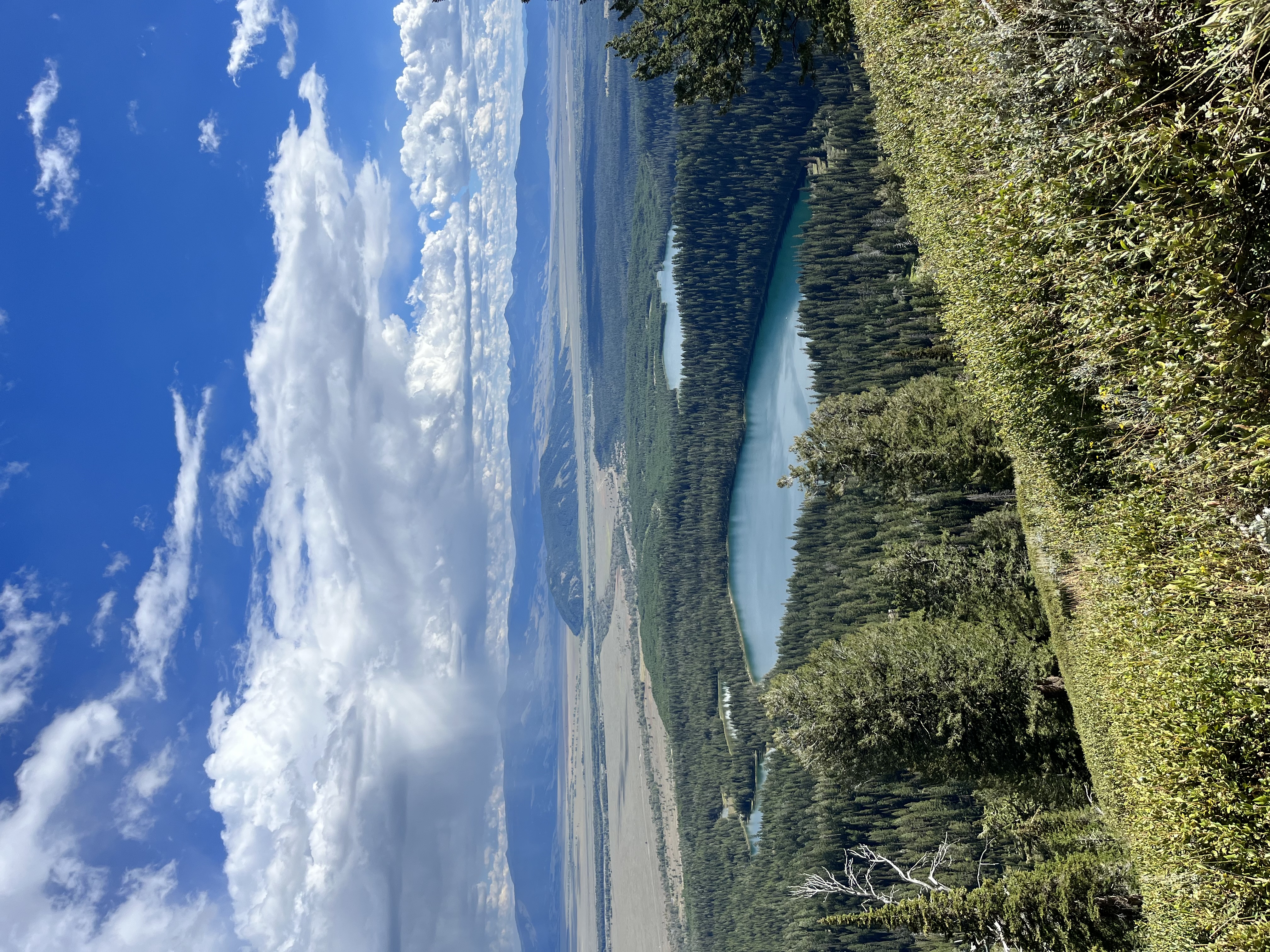 View over the valley when coming down the delta lake hike