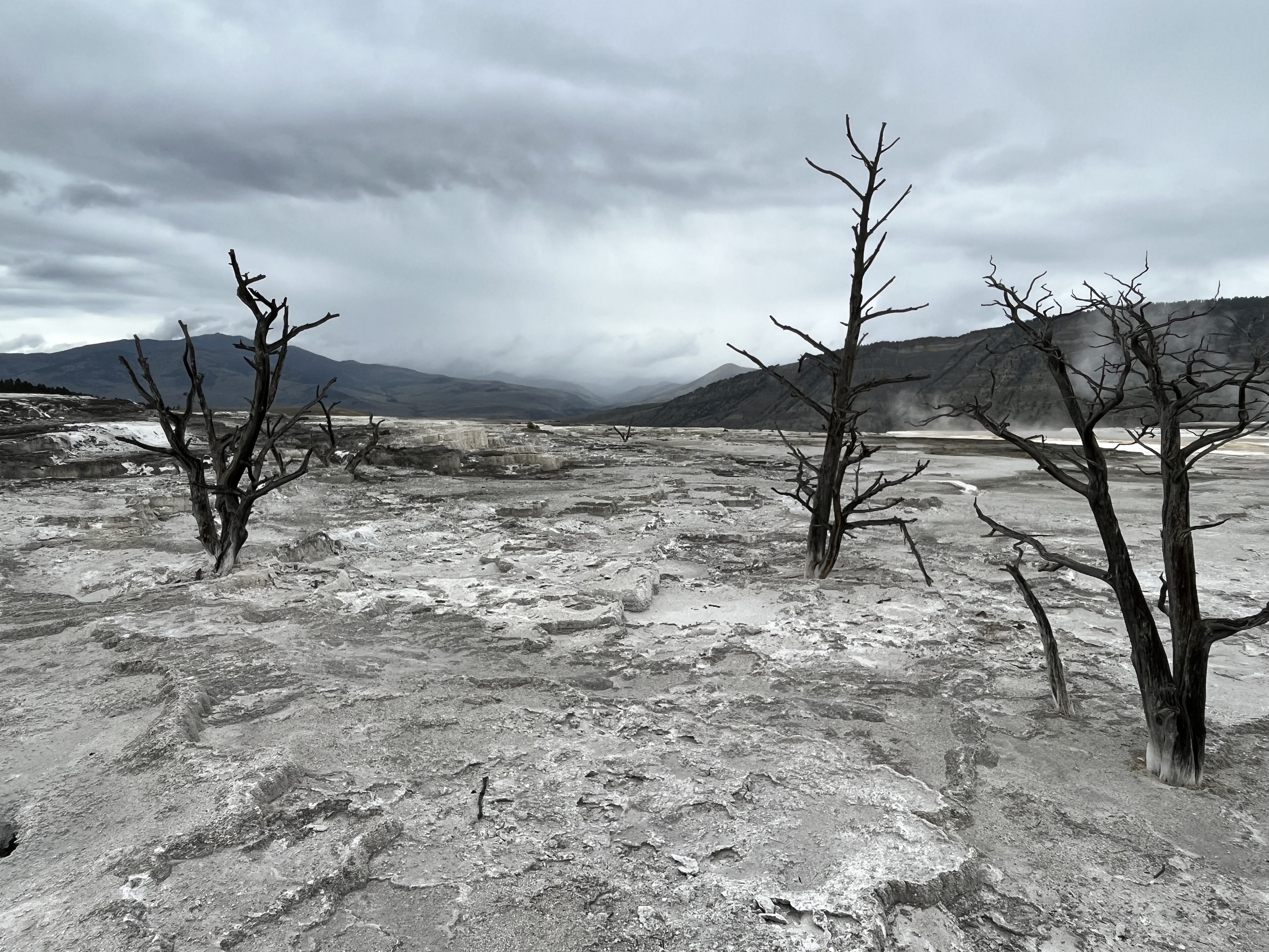 Mammoth Hot Springs Upper Terraces on an overcast day