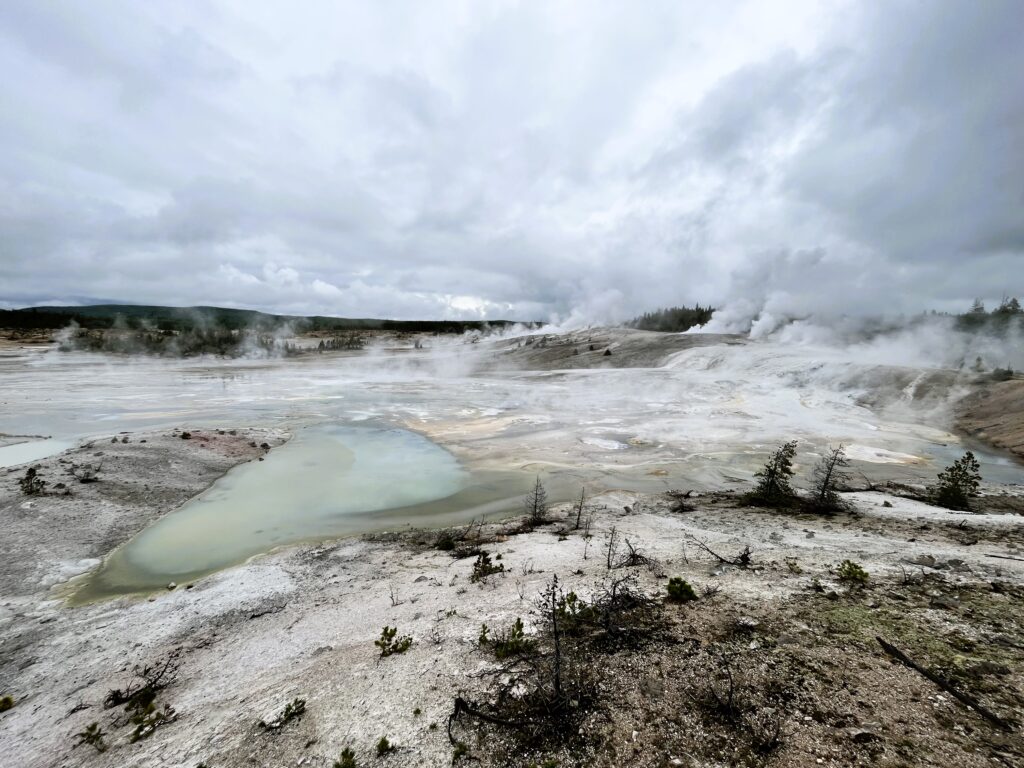 Norris Geyser Basin Overlook on an overcast day in Yellowstone National Park