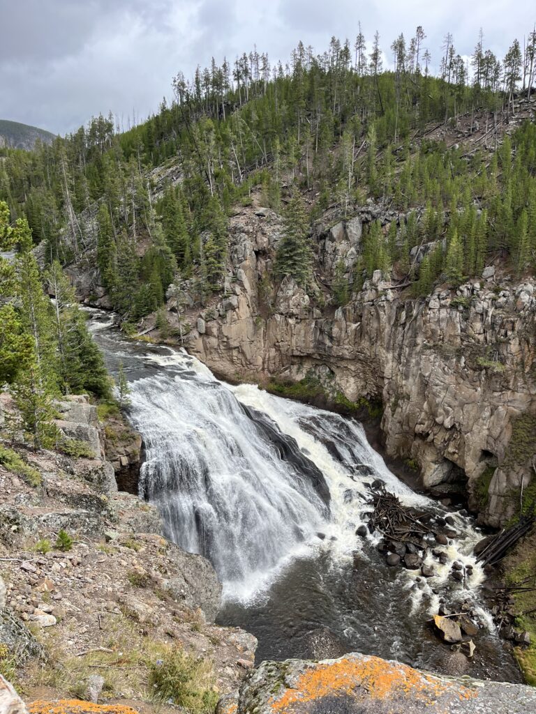 An image of Gibbon Falls in Yellowstone National Park