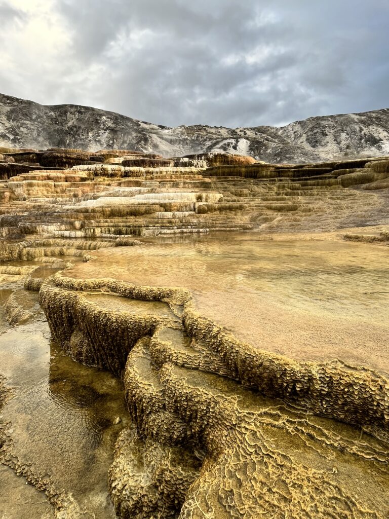 Mammoth Hot Springs Terrace at Yellowstone National Park