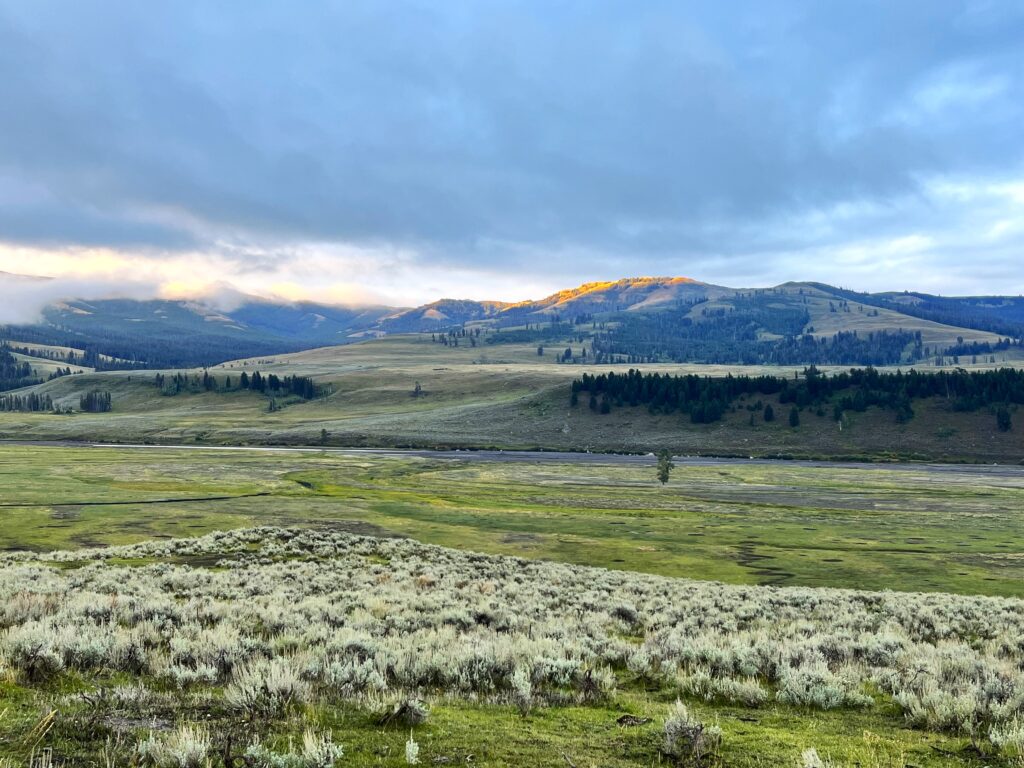 A landscape of Lamar Valley at sunrise