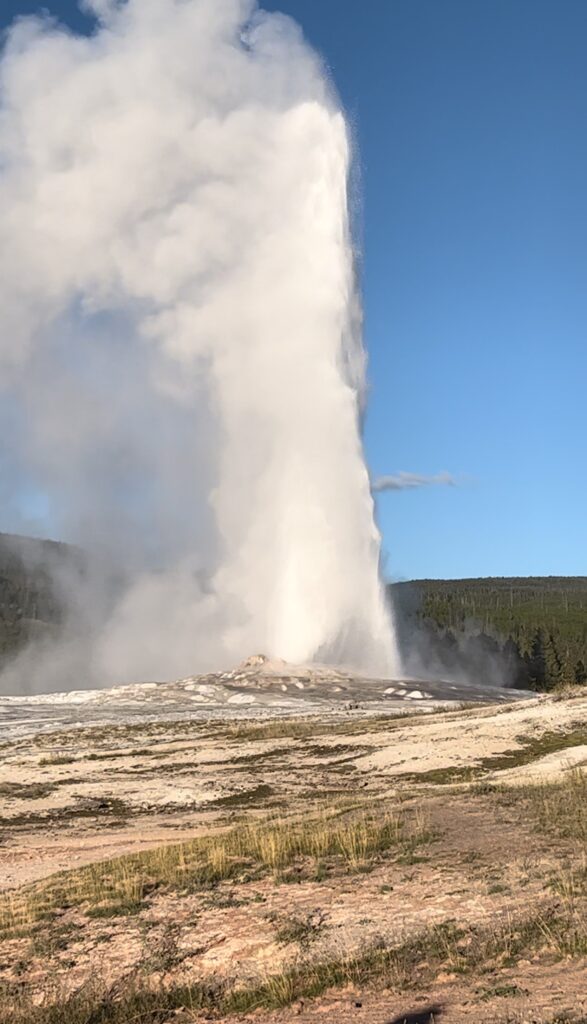 Old faitfhul geyser erupting on a sunny day