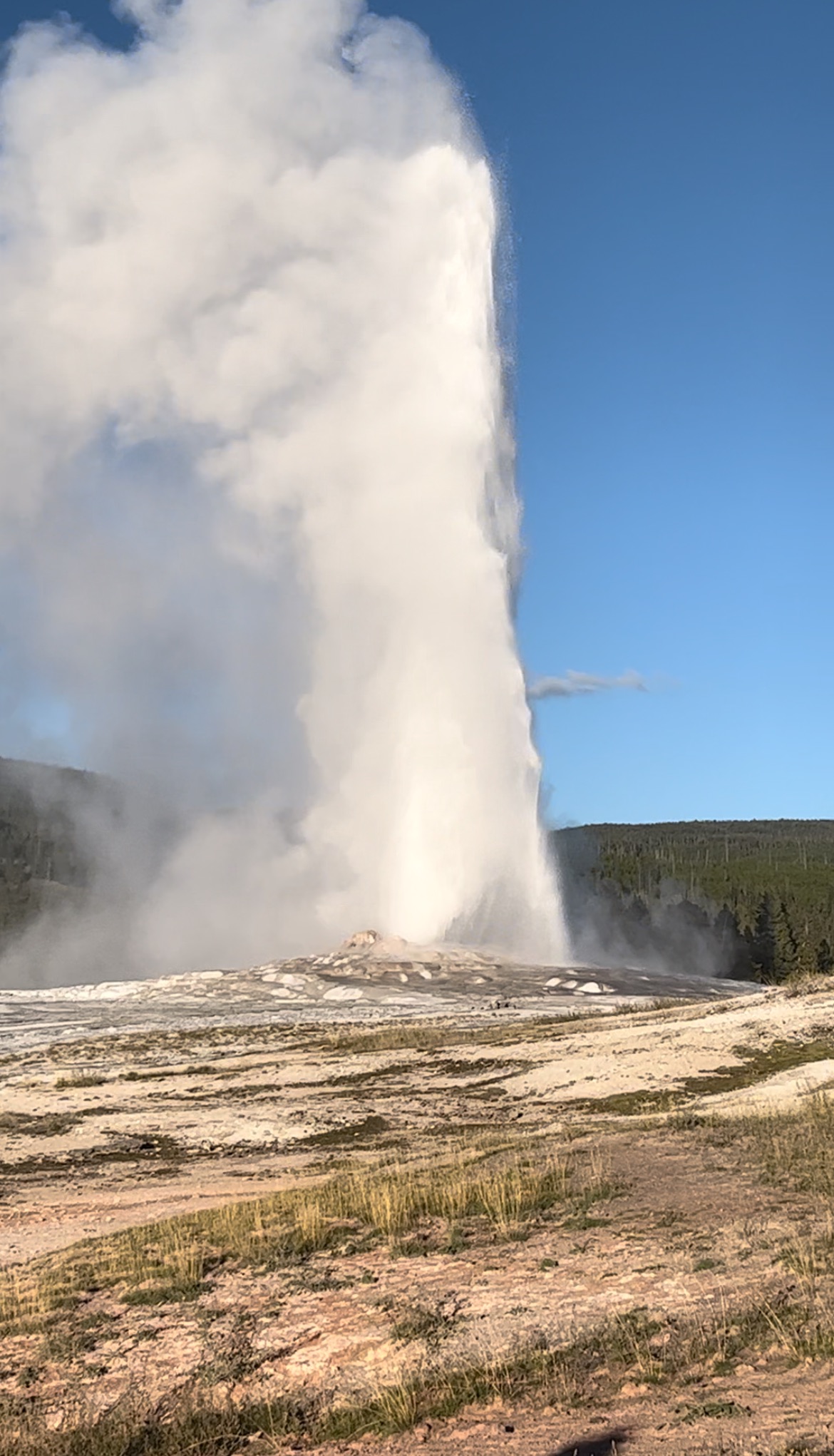 The Ultimate Yellowstone and Grand Teton National Park Trip Itinerary ...