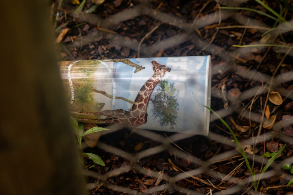 photo of discarded trash behind a fence at the north carolina zoo