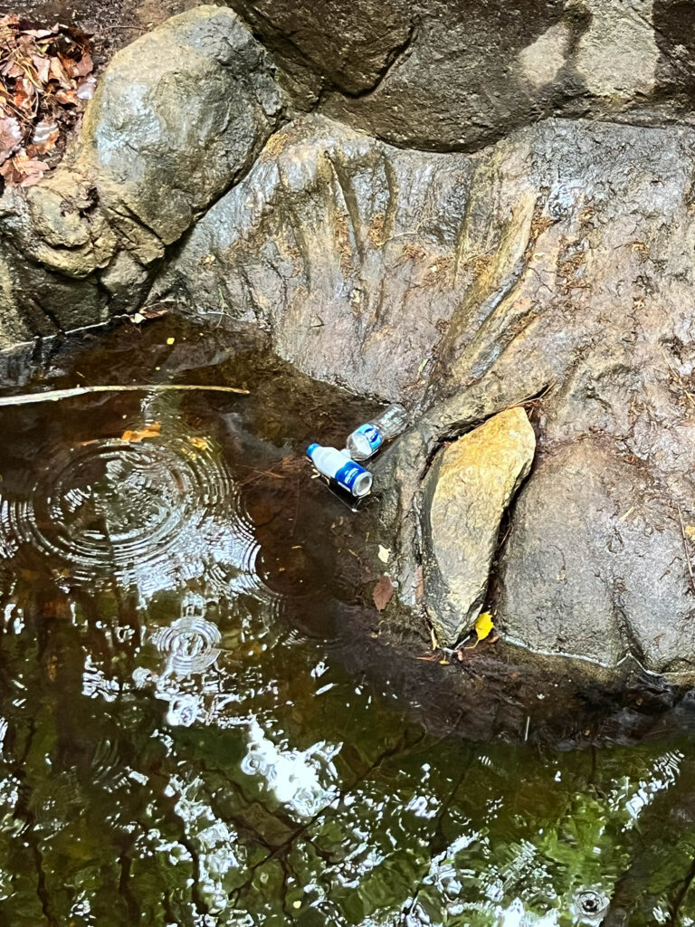 photo of waterbottles floating in the wolf exhibit at the north carolina zoo