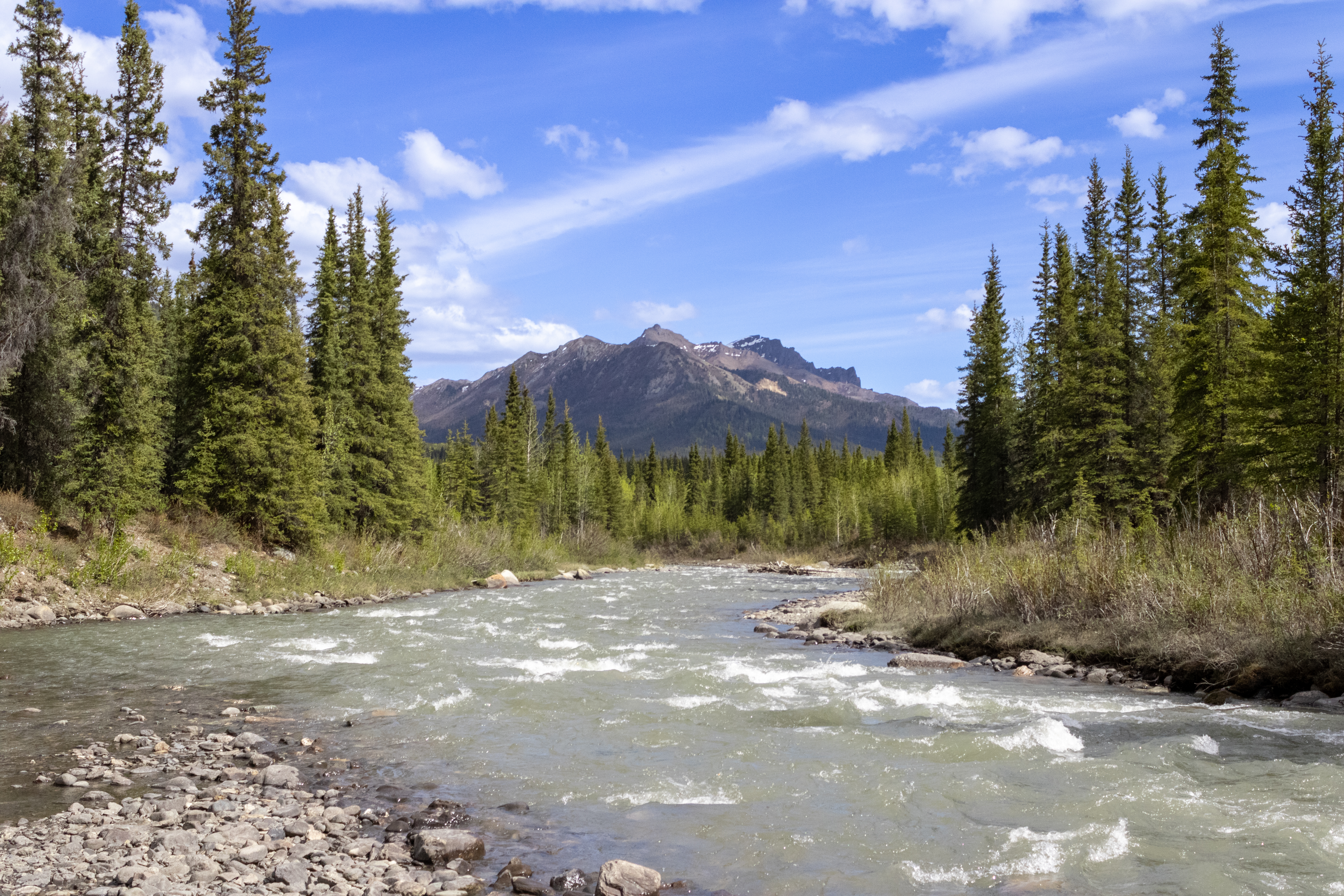 A view from Riley Creek in Denali National Park