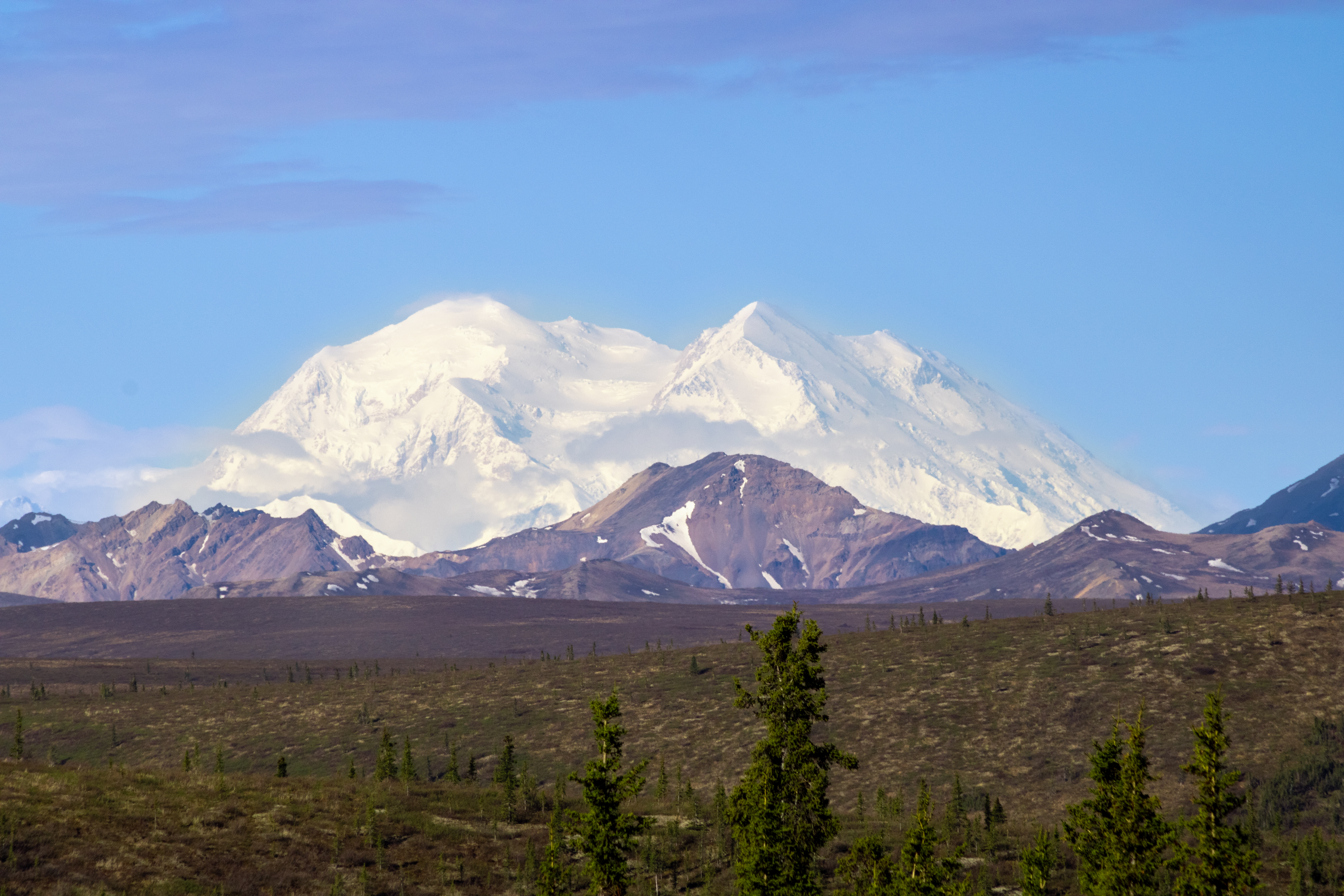 A photo of Denali mountain on a clear day