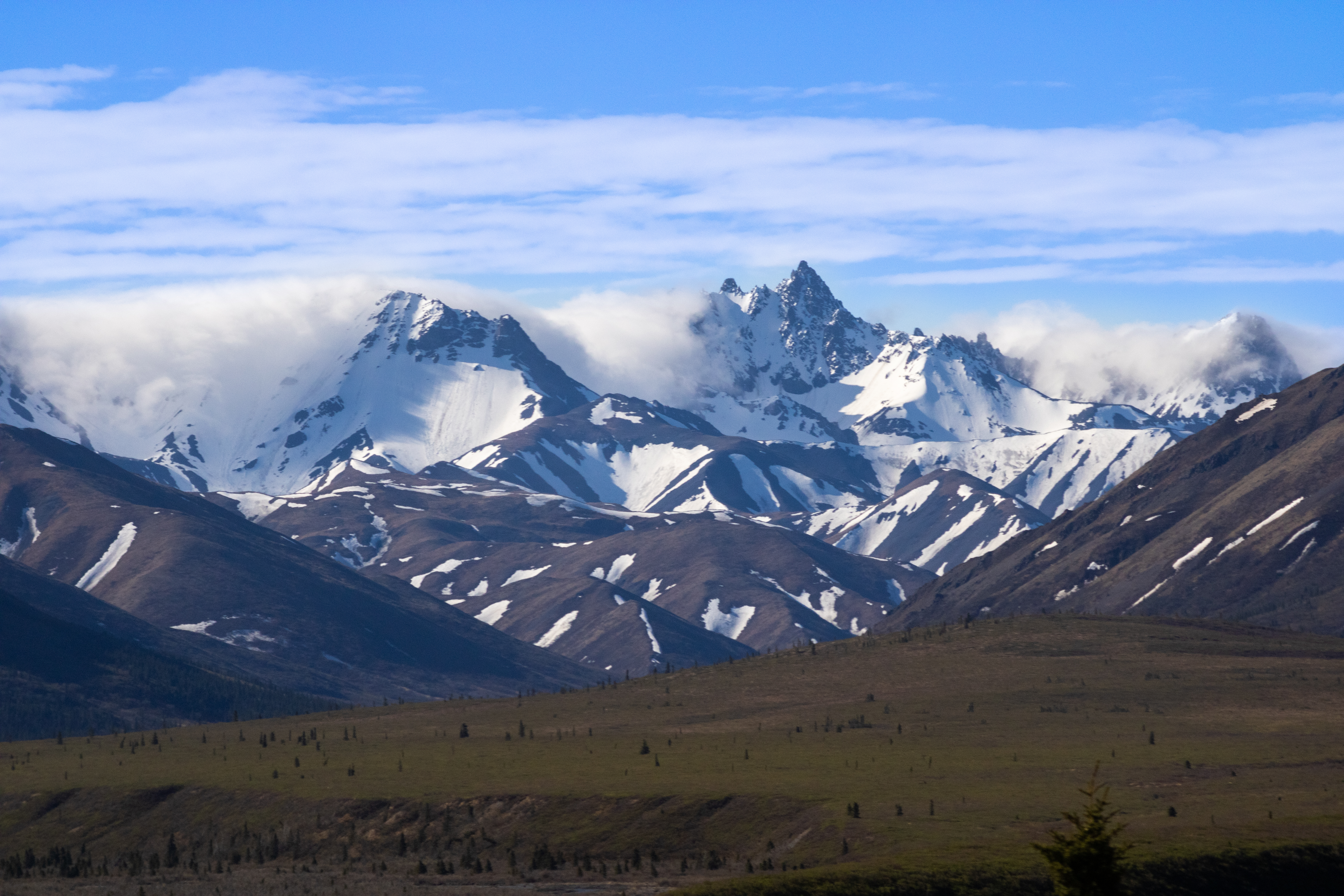 Clouds creeping over the top of the Alaskan range mountains within Denali National Park on a sunny day