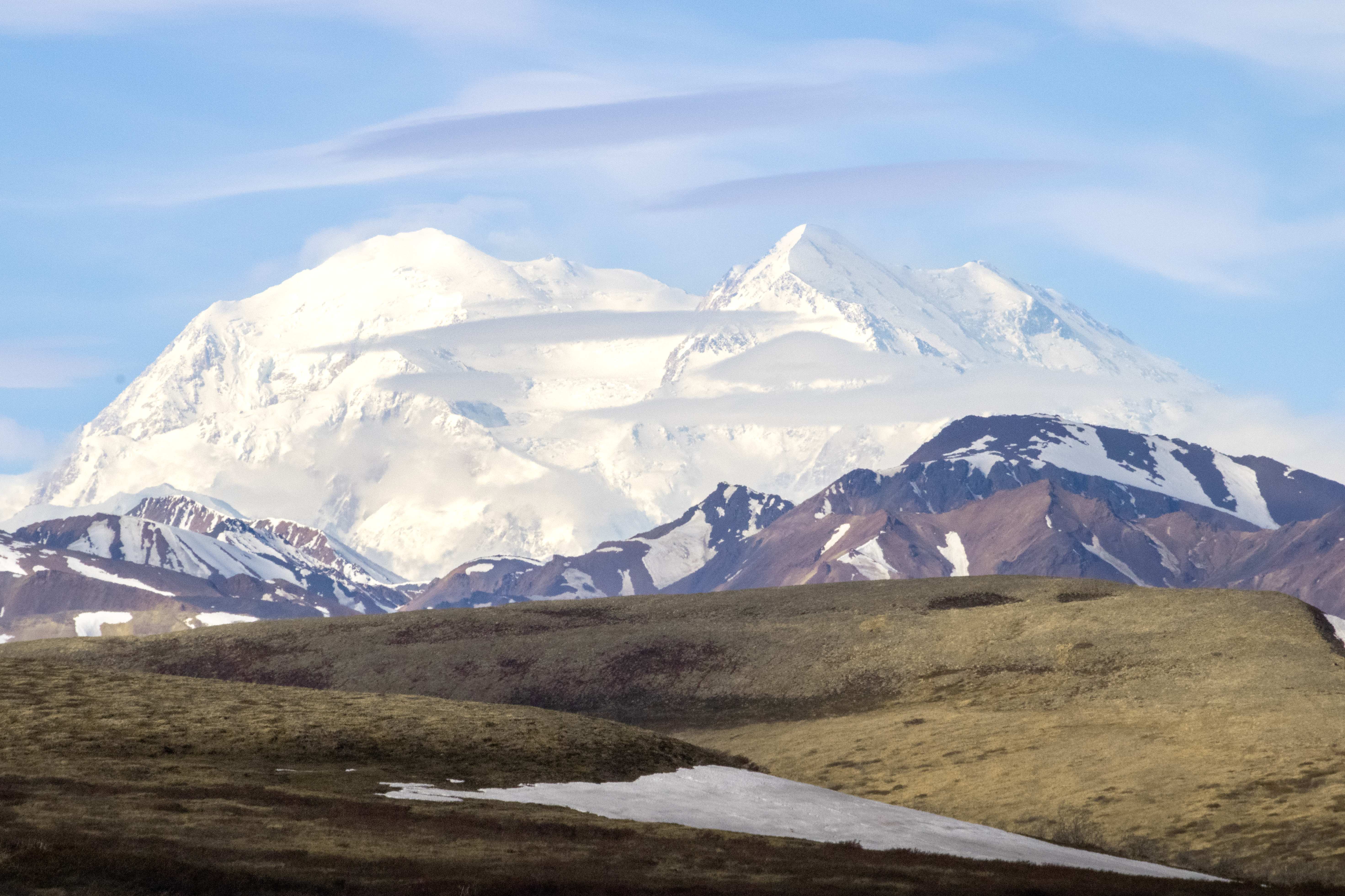 A photo of a snow covered Denali mountain taken on a clear and warm day from within Denali National Park