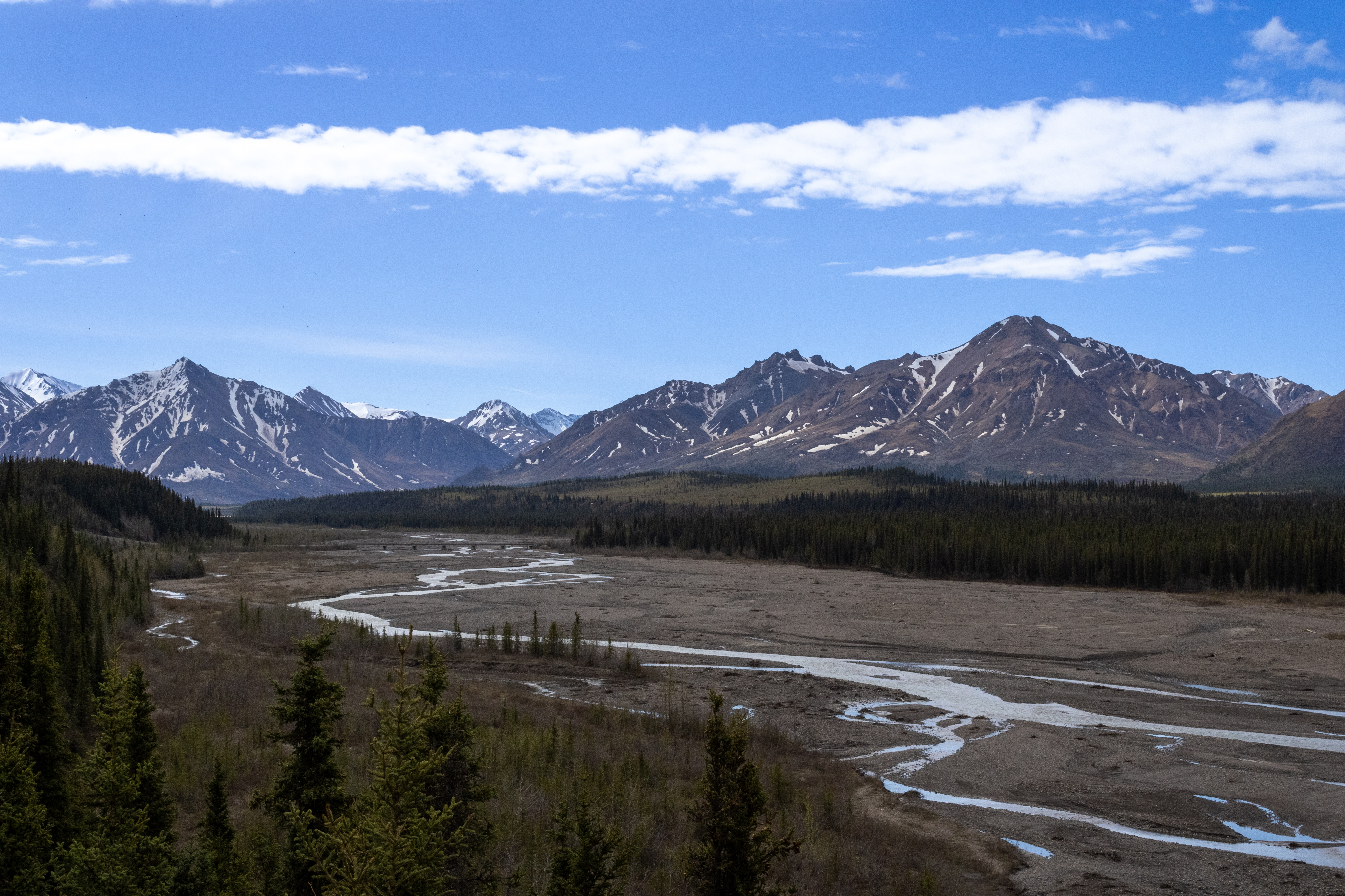 An overlook of the Teklanika River in Denali National Park