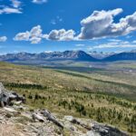 A photo taken from the savage apline trail in Denali National Park