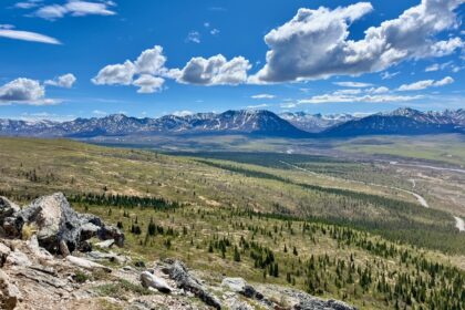 A photo taken from the savage apline trail in Denali National Park