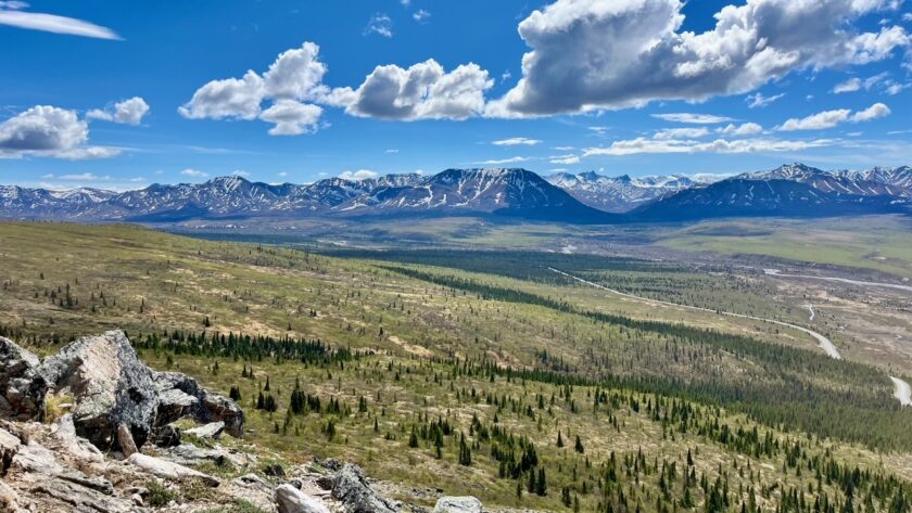 A photo taken from the savage apline trail in Denali National Park