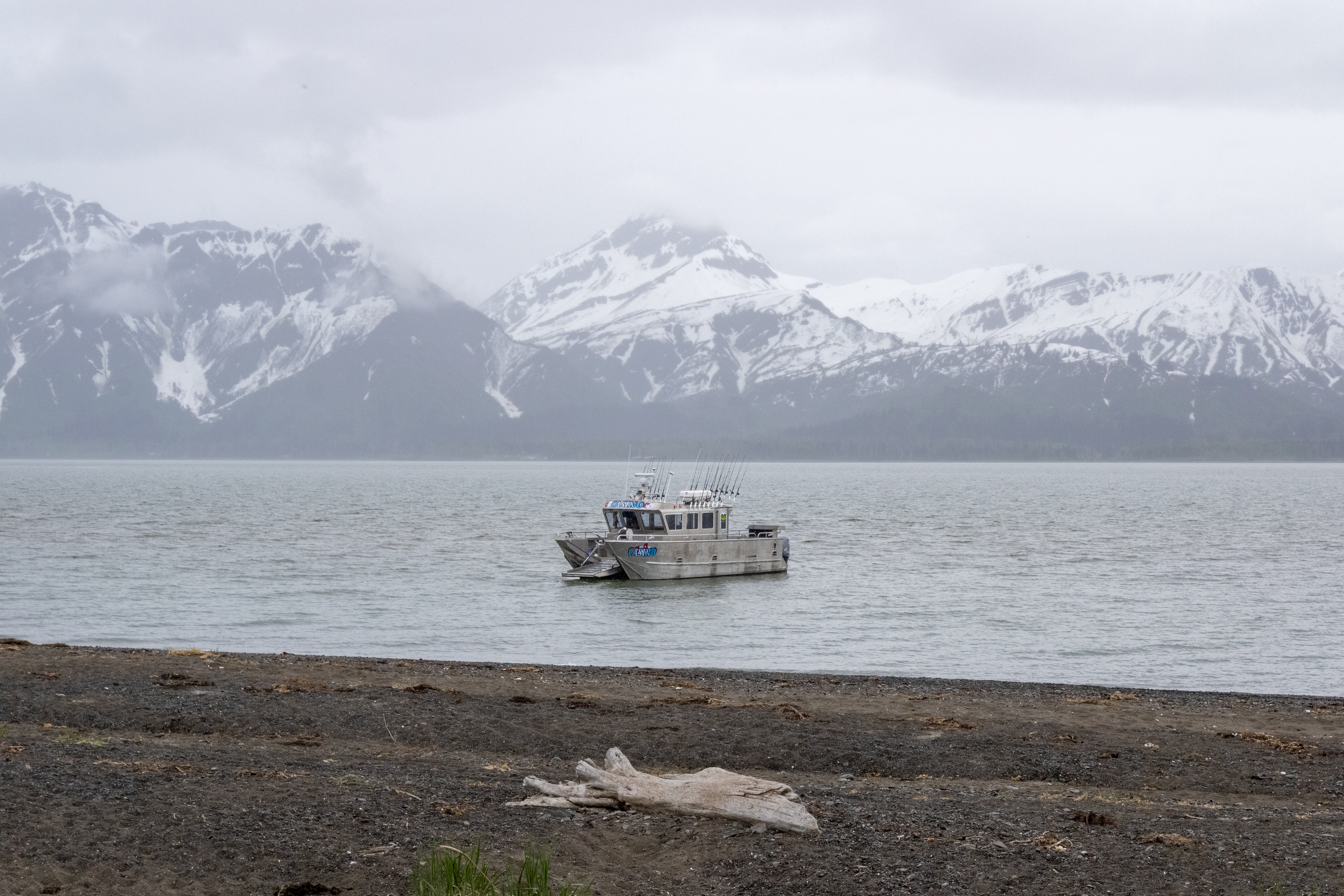 Our boat that took us to see the bears, The Casino