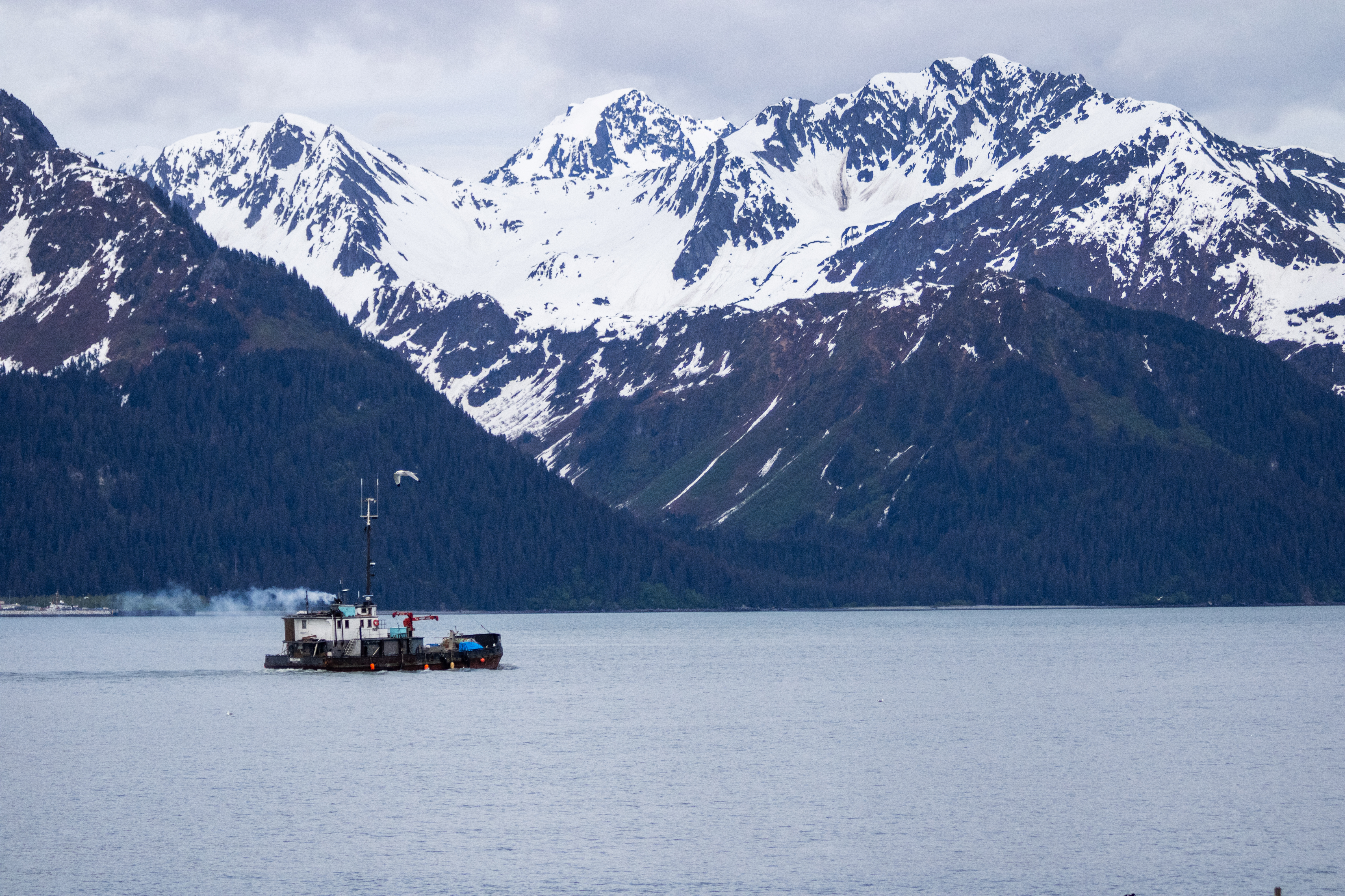 A steam boat sailing through Resurrection Bay